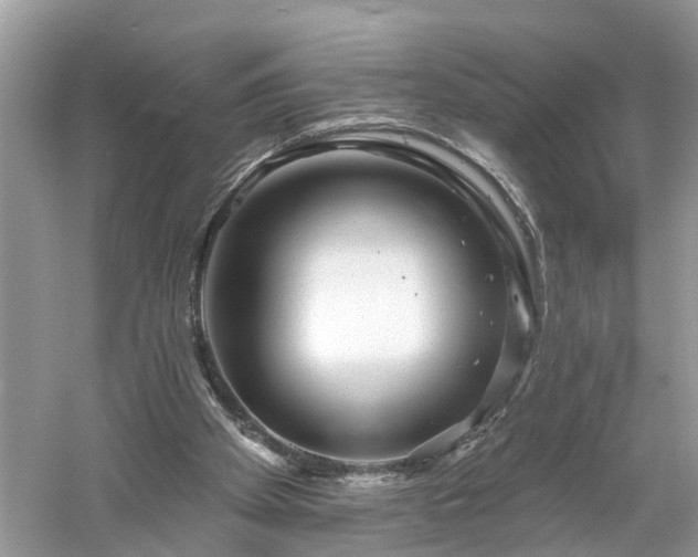 X0000061150105200511181245