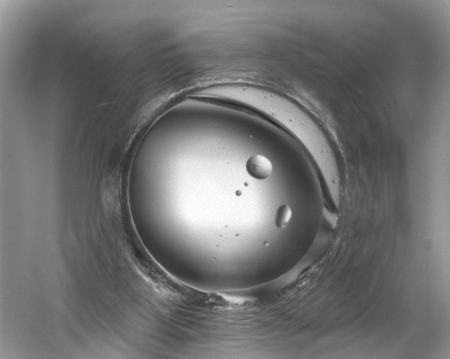 X0000061150107200511181245