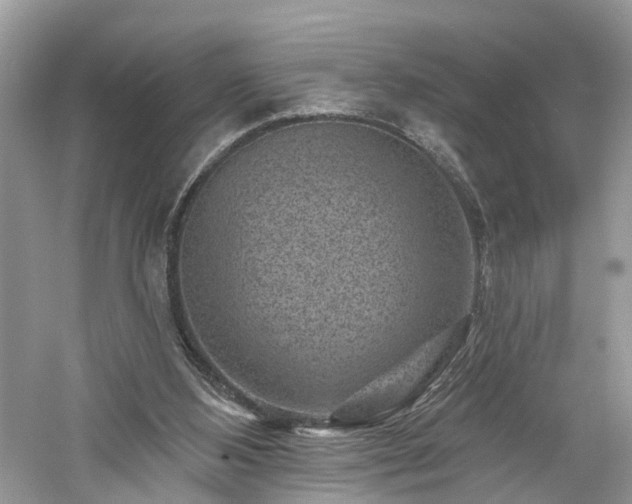 X0000061150108200511181245