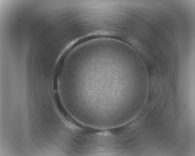 X0000061150112200511181245