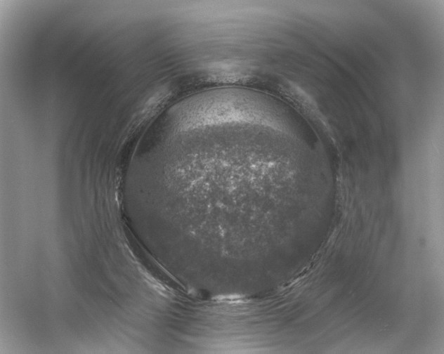 X0000061150114200511181244