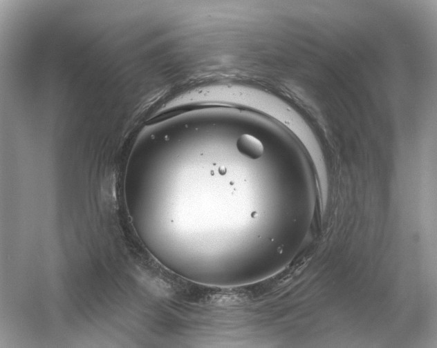 X0000061150115200511181244