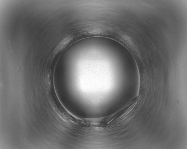 X0000061150116200511181244