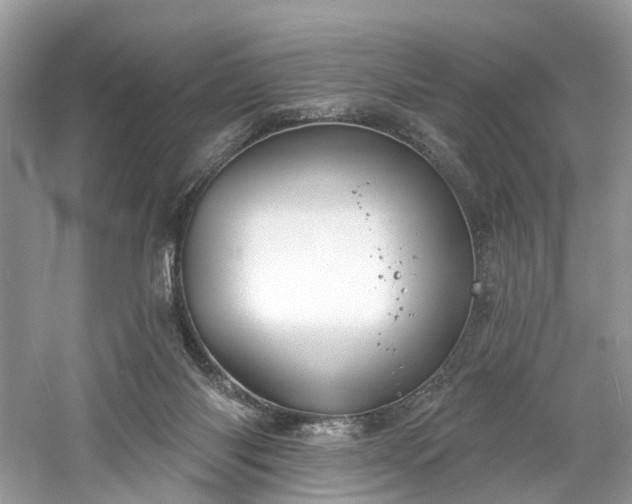 X0000061150118200511181244