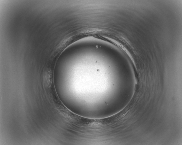 X0000061150119200511181244