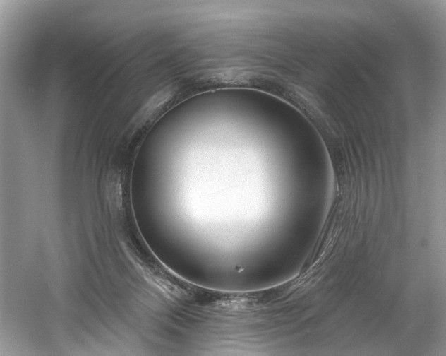 X0000061150120200511181244