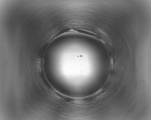 X0000061150121200511181244