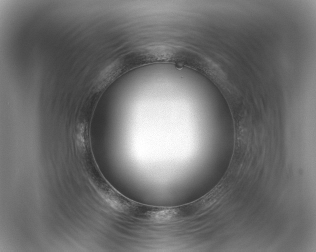 X0000061150122200511181244