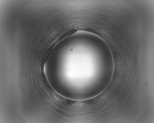 X0000061150123200511181244