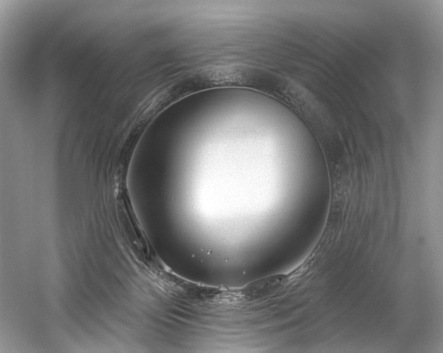 X0000061150124200511181244