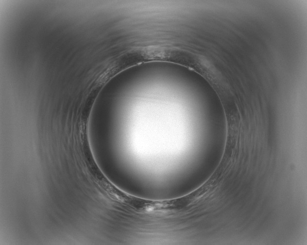 X0000061150125200511181244