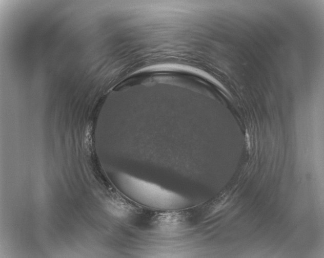 X0000061150127200511181244