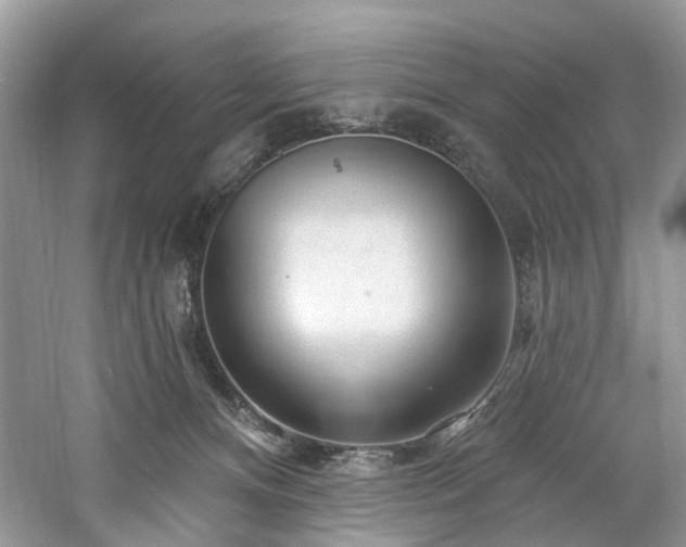 X0000061150128200511181244