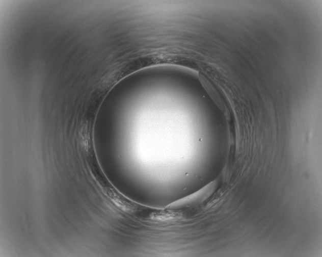 X0000061150129200511181244