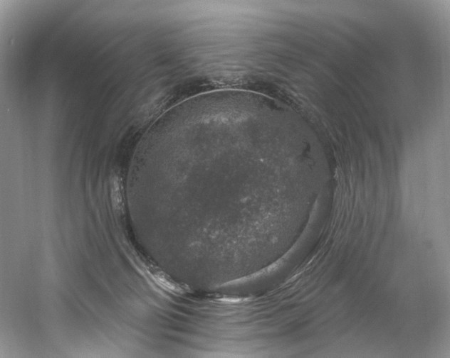 X0000061150130200511181244