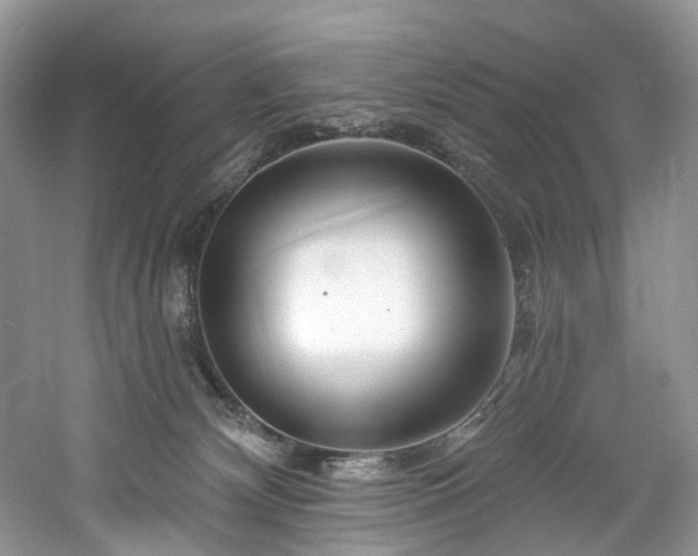 X0000061150132200511181244