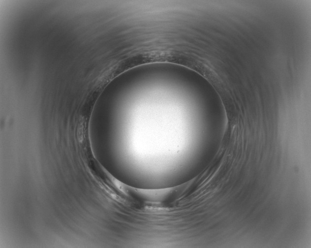 X0000061150133200511181244