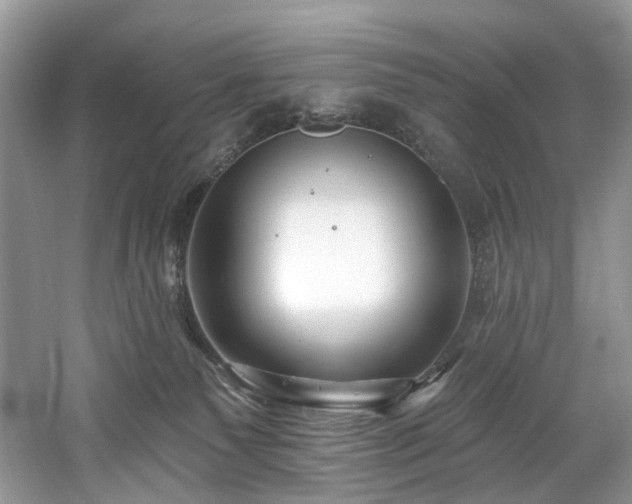 X0000061150135200511181244