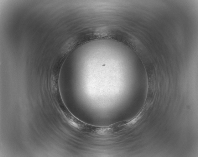 X0000061150136200511181244