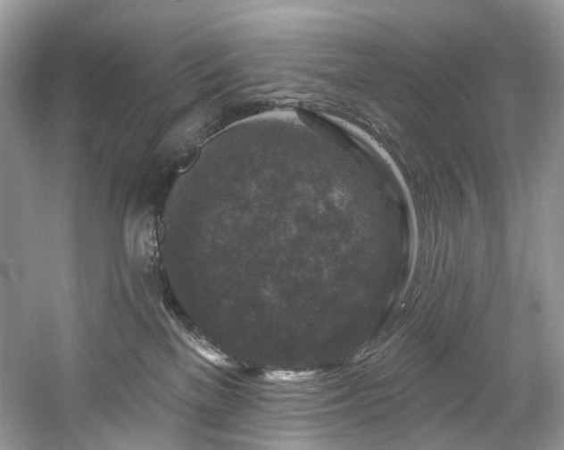 X0000061150137200511181244