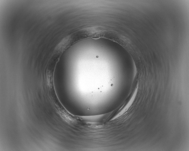 X0000061150138200511181244