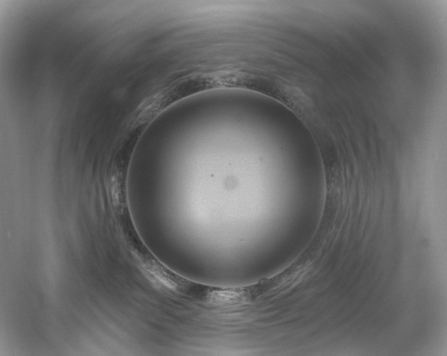 X0000061150139200511181244