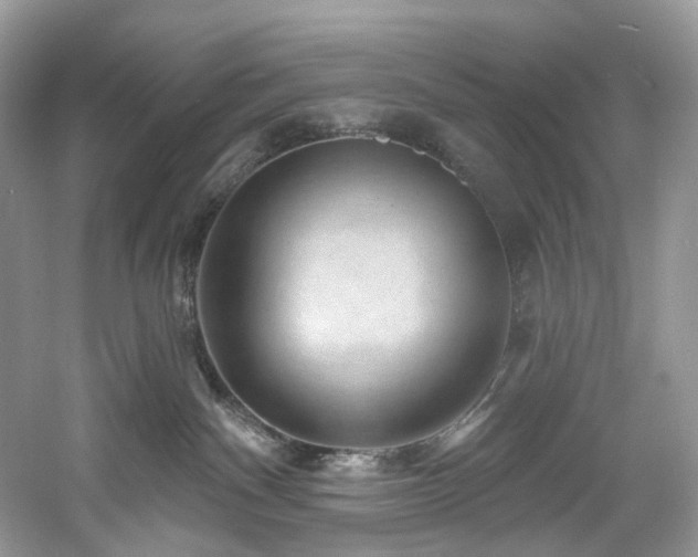 X0000061150140200511181244