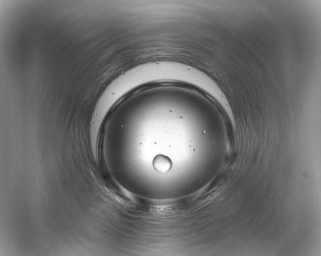 X0000061150141200511181244