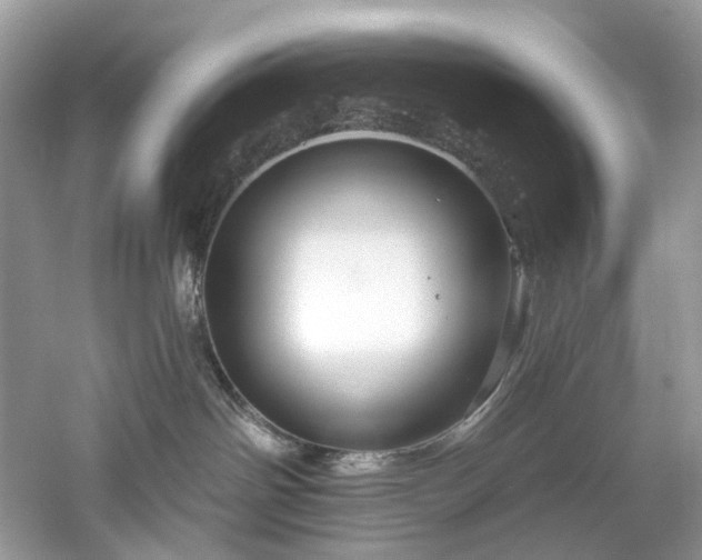 X0000061150142200511181244