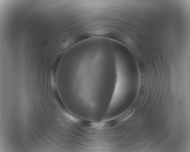 X0000061150143200511181244