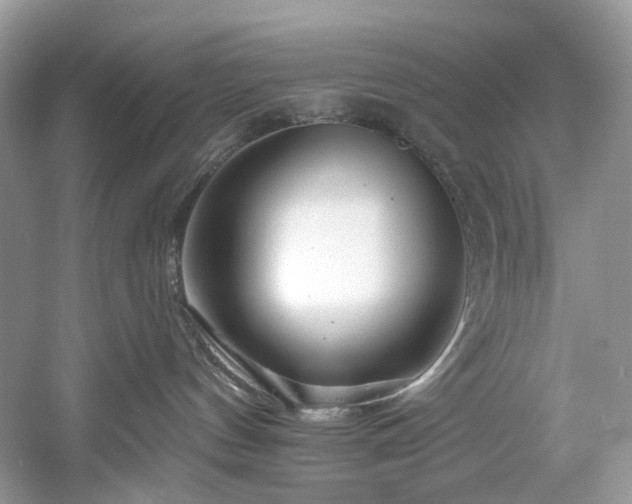 X0000061150144200511181244