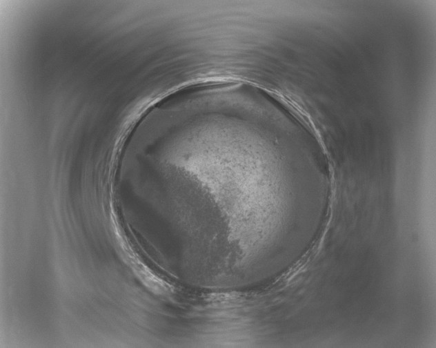 X0000061150145200511181243