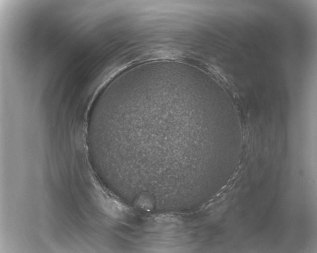 X0000061150146200511181243