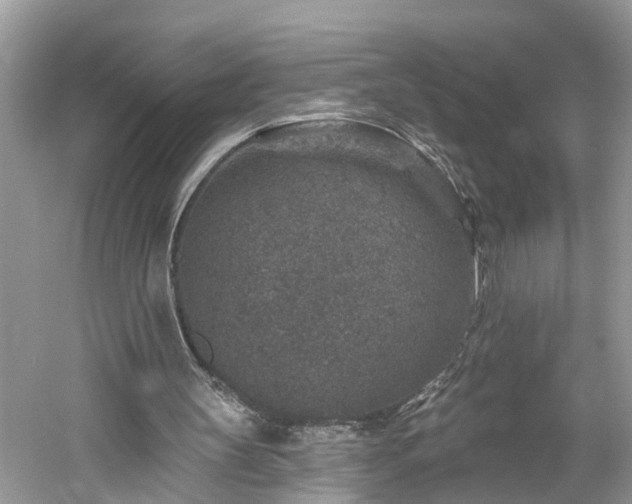 X0000061150147200511181243