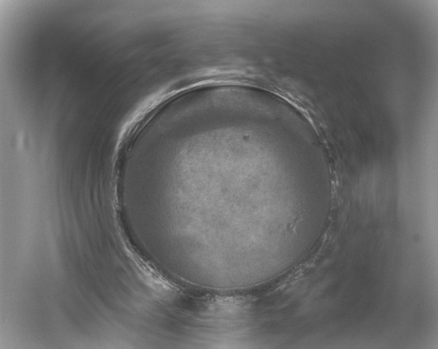 X0000061150149200511181243