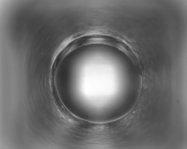 X0000061150152200511181243