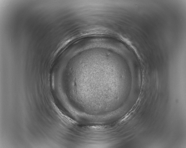 X0000061150154200511181243