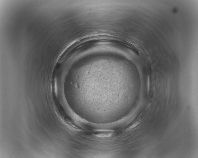 X0000061150156200511181243