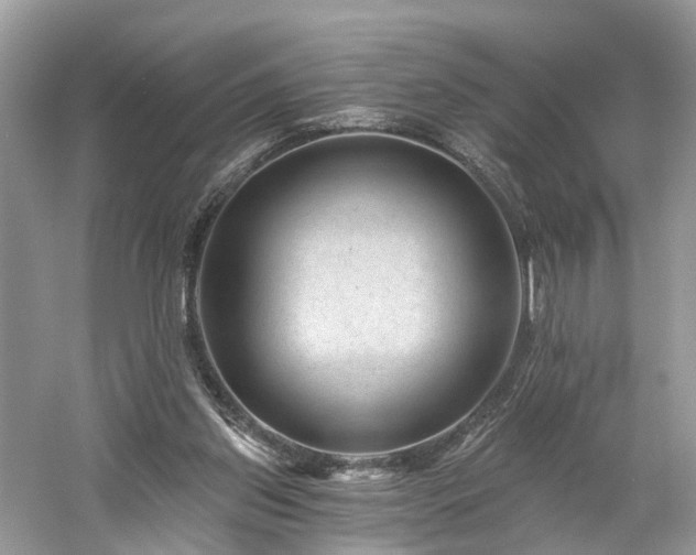 X0000061150157200511181243