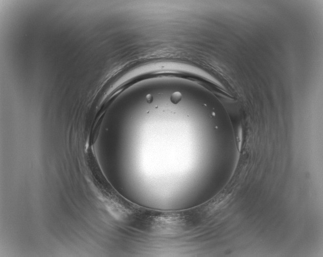 X0000061150164200511181243