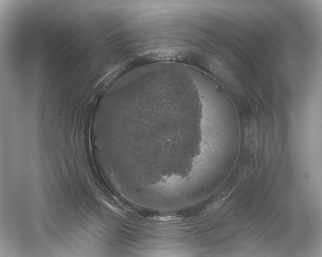 X0000061150165200511181243