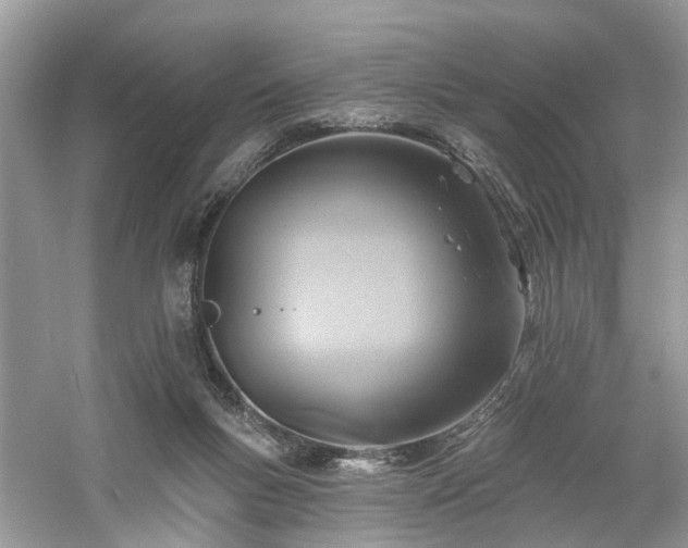 X0000061150167200511181244