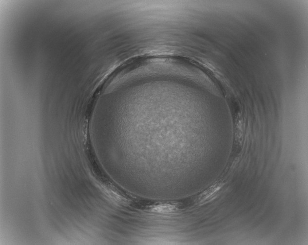 X0000061150168200511181244