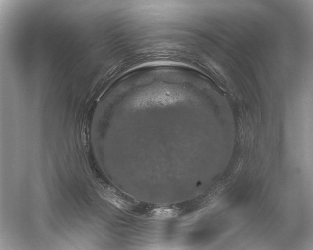 X0000061150169200511181244