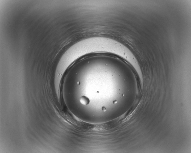 X0000061150171200511181244