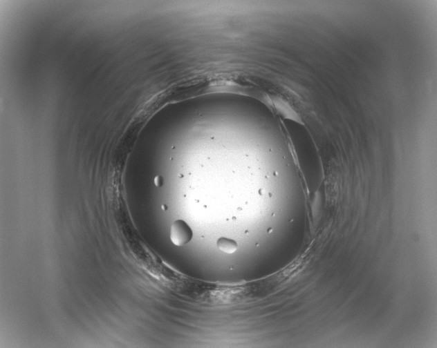 X0000061150172200511181244