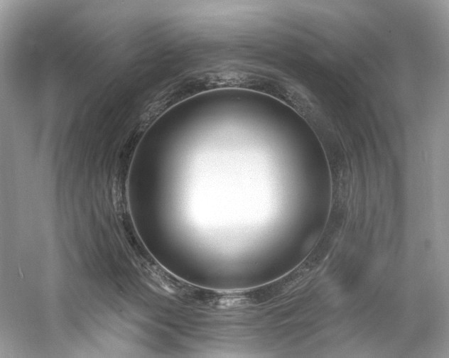 X0000061150173200511181244