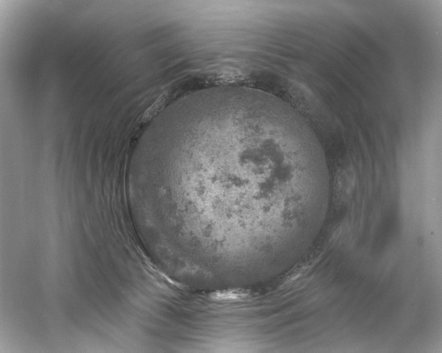 X0000061150177200511181244