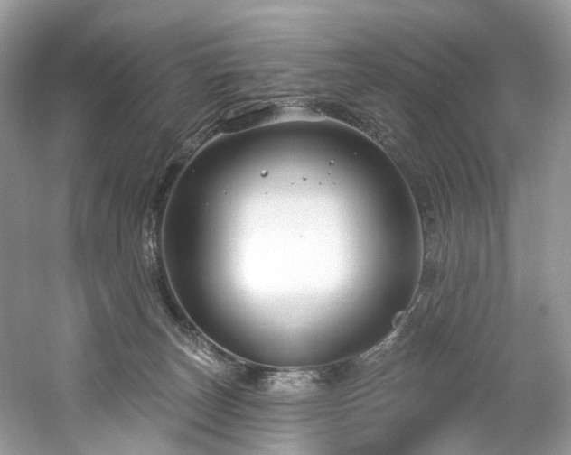 X0000061150179200511181244