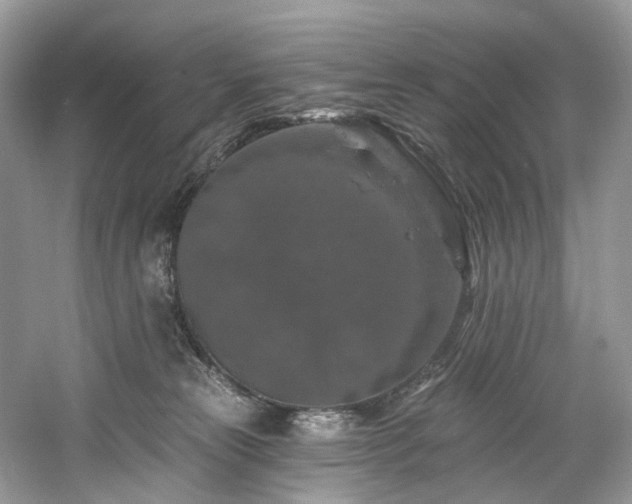 X0000061150181200511181244